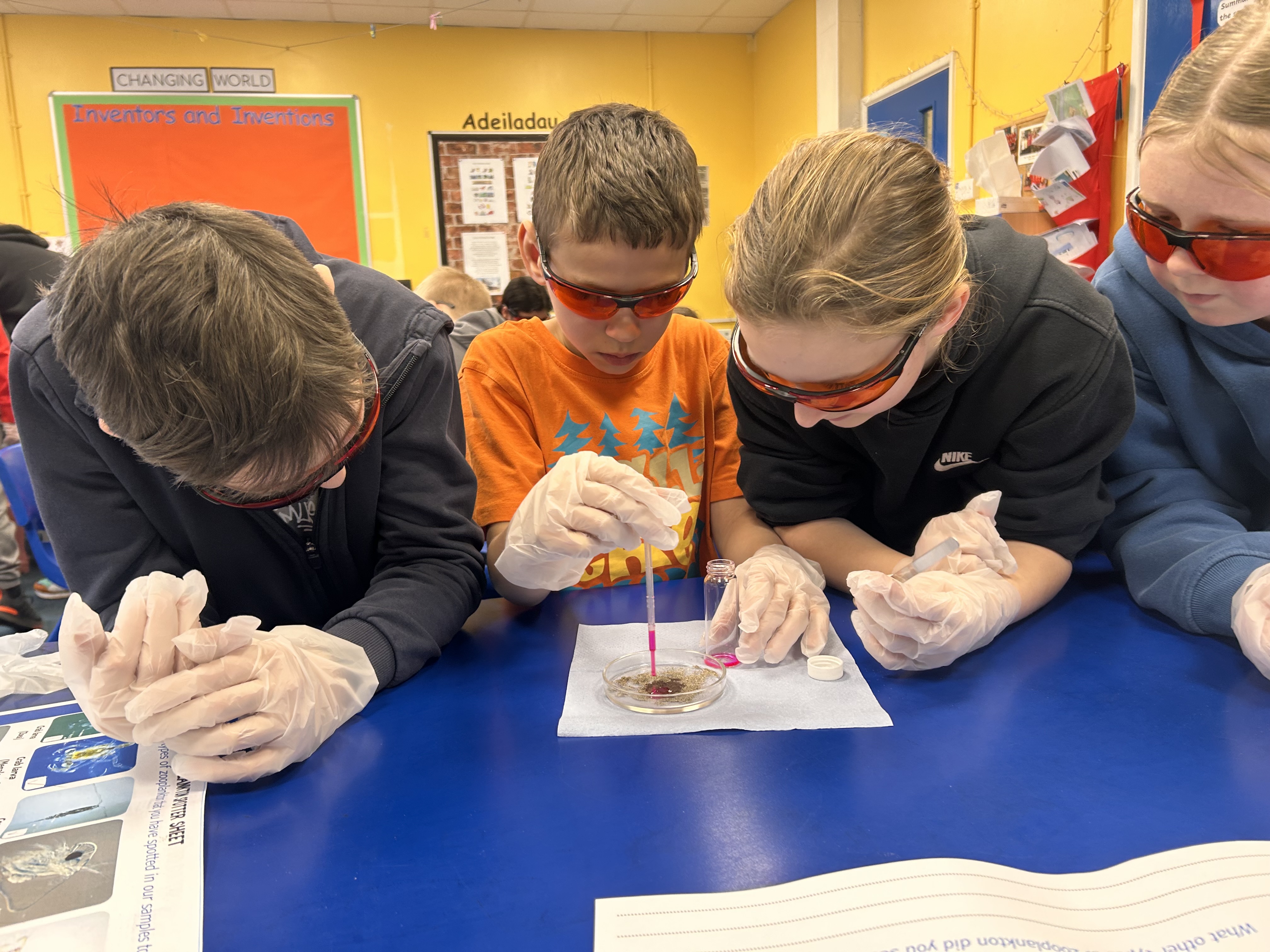 holyname-pupils-staining-their-sand-samples-from-newport-sands.jpg