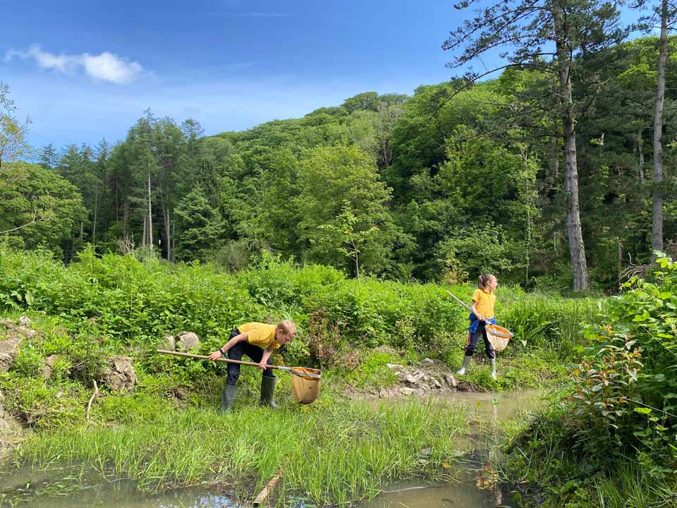 pond-dipping-3-1.jpg