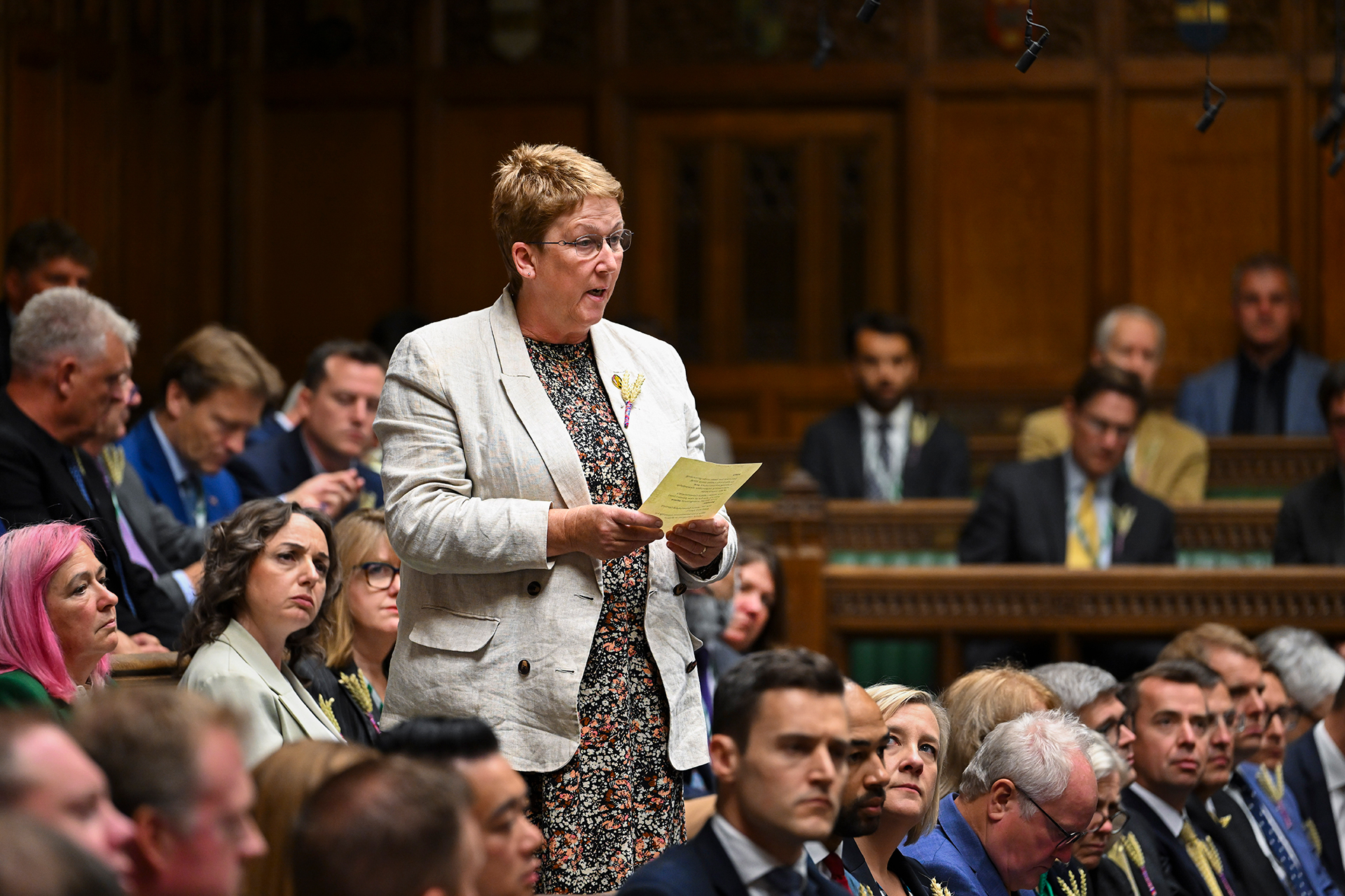 ann-davies-mp-caerfyrddin-plaid-cymru.jpg