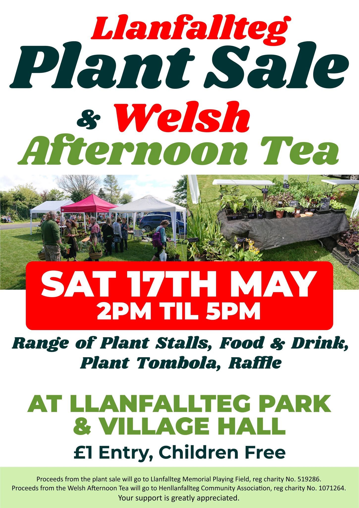 Plant Sale & Welsh Afternoon Tea, Llanfallteg Village HALL, Saturday May 17th, 2pm - 5pm