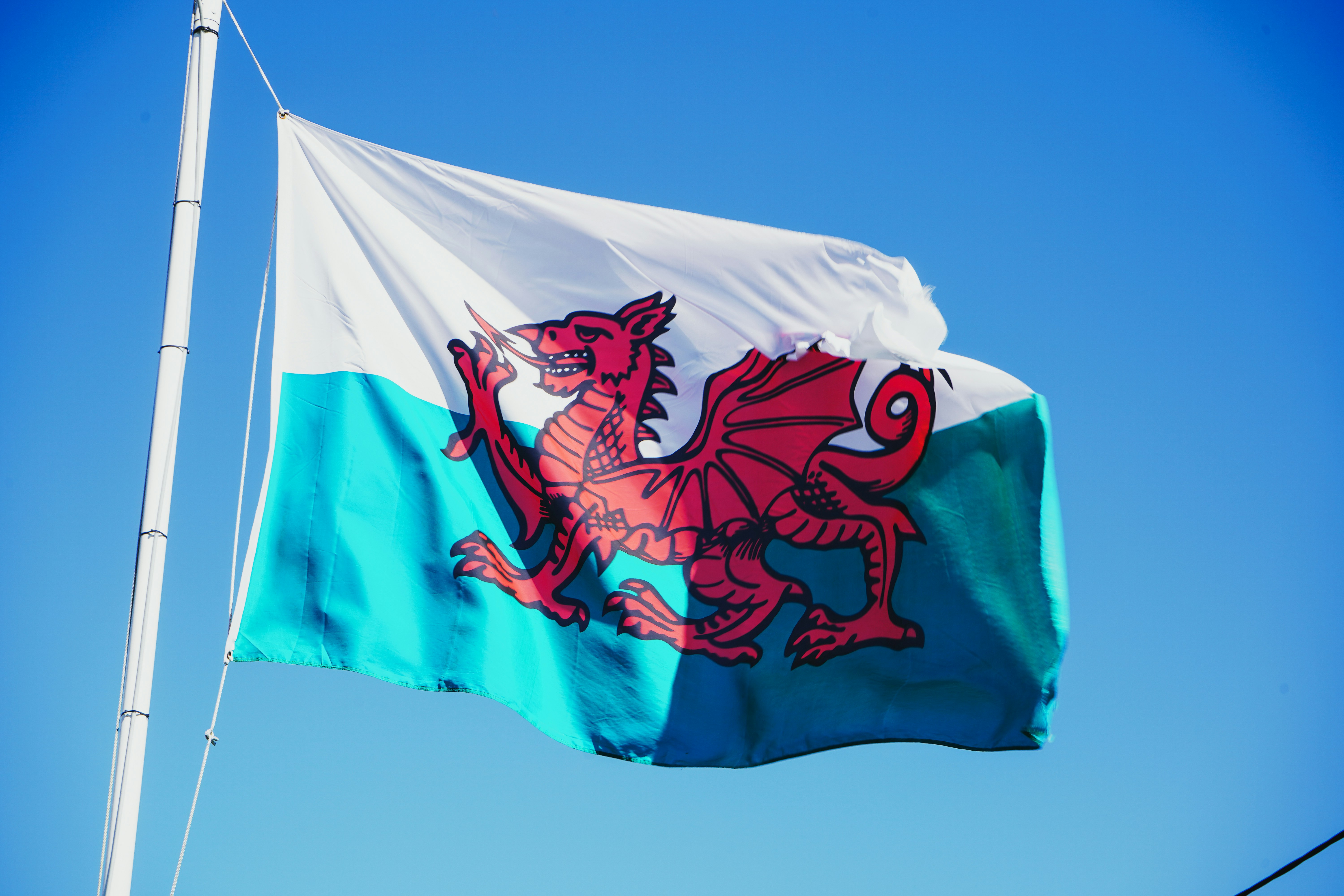 welsh-flag.jpg