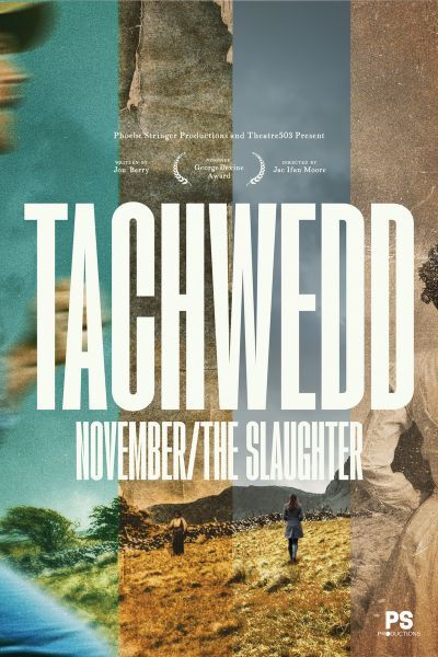 tachwedd-poster.jpeg