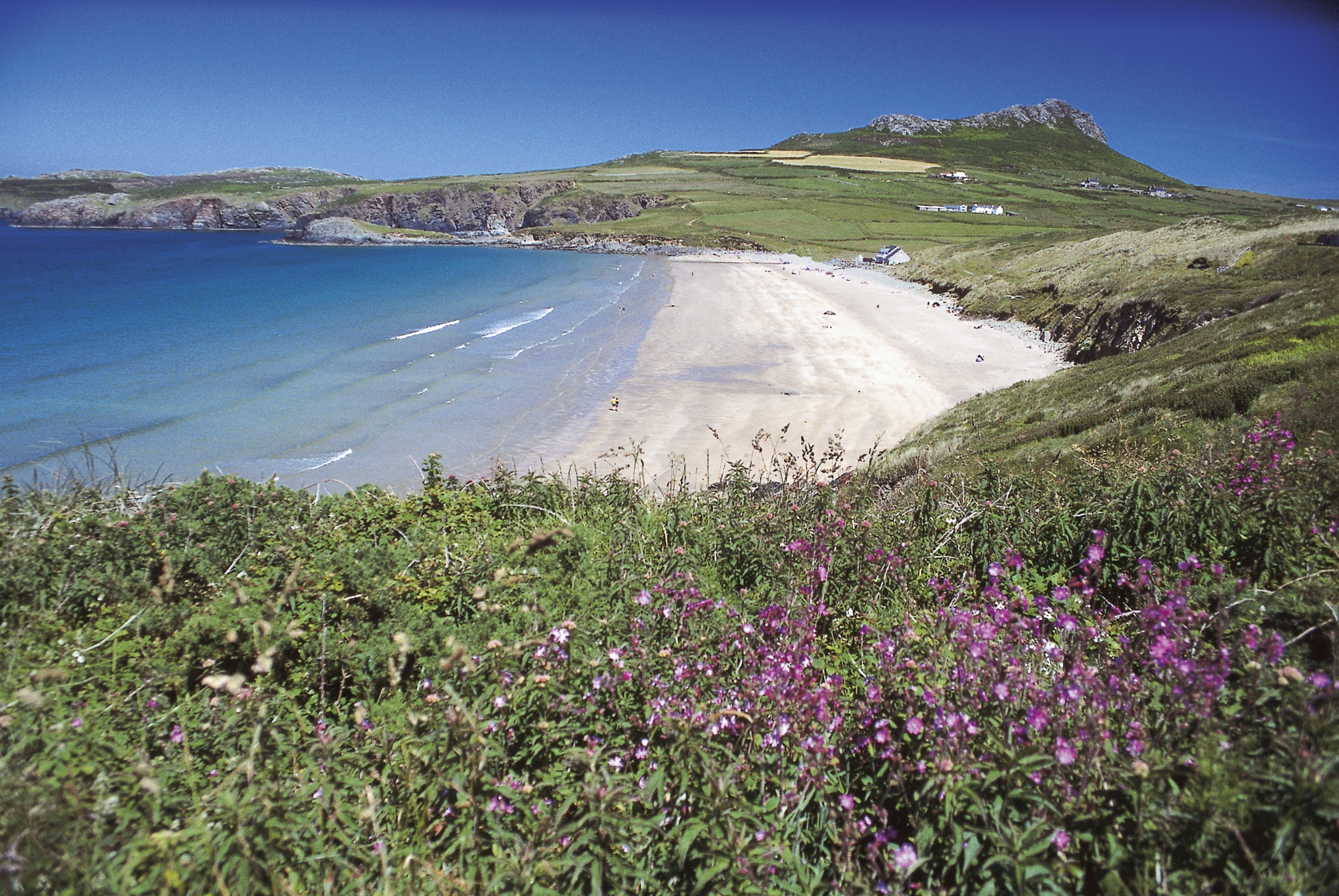 National Park Authority Approves Article 4(1) Direction to Control 28-Day Camping and Caravan Sites